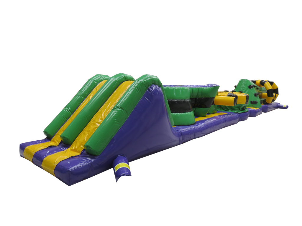 15m Green & Purple Whirligig Pool Inflatable