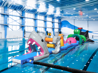 17m Seaworld Pool Inflatable