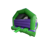 15x12ft 3D Dino Front Slide Combo with Head Motion