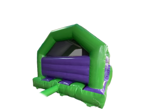 15x12ft 3D Dino Front Slide Combo with Head Motion