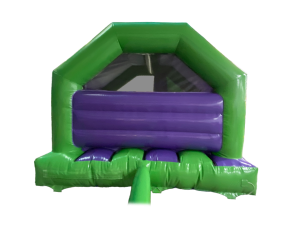 15x12ft 3D Dino Front Slide Combo with Head Motion