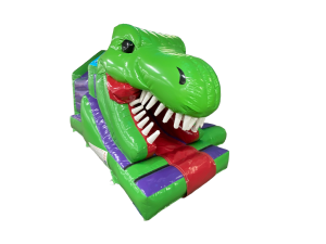 15x12ft 3D Dino Front Slide Combo with Head Motion