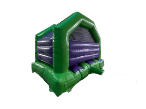 15x12ft 3D Dino Front Slide Combo with Head Motion