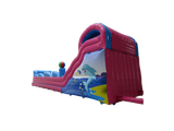 15m Delfinrutsche