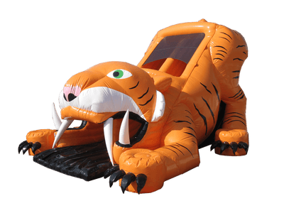Große Tiger-Rutsche
