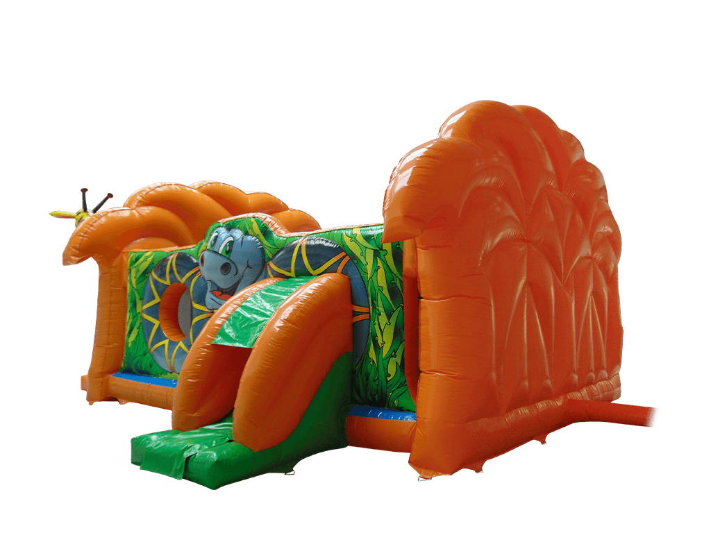 Jungle Kingdom Small Side Slide Combi