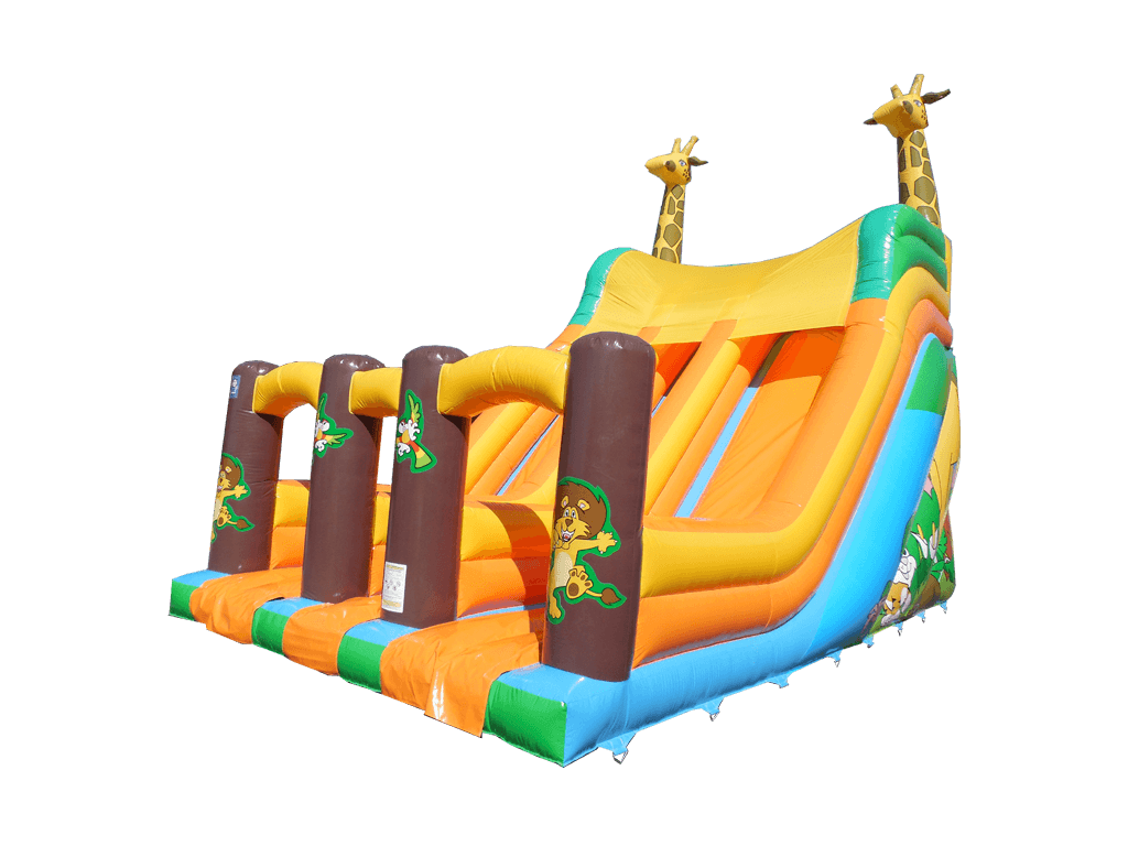 4m Platform Giraffe Double Slide