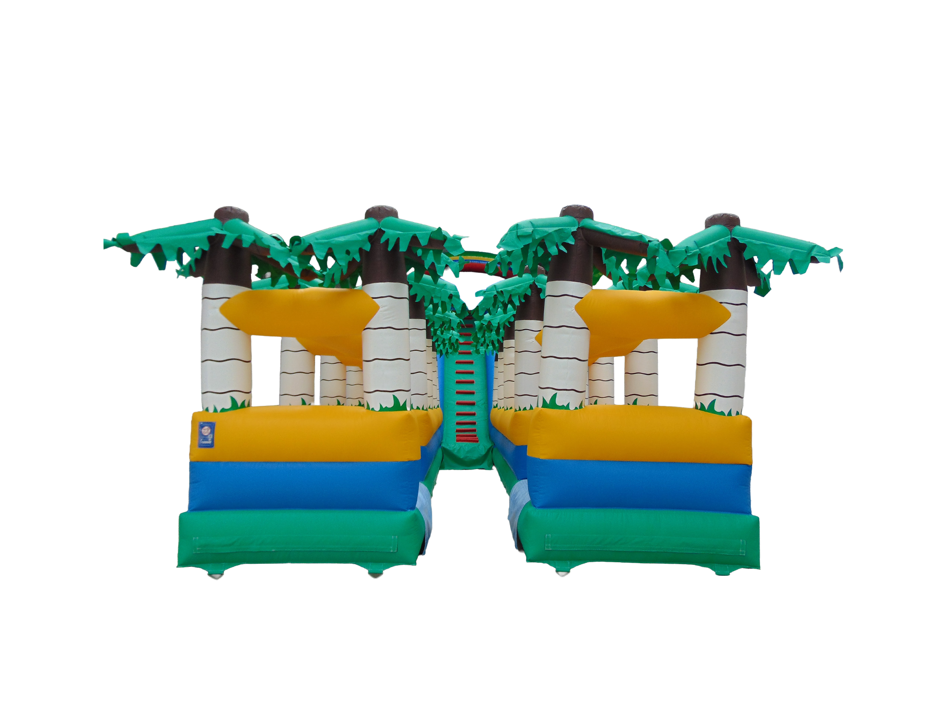 Tropical Slide with Palm Trees
