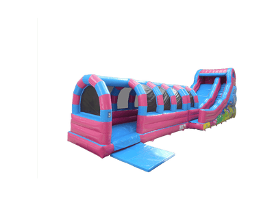 Dolphin Slide Large (with Arches)