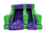 5ft Platform Dinosaur Slide