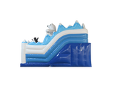 Polar Activity Play And Slide