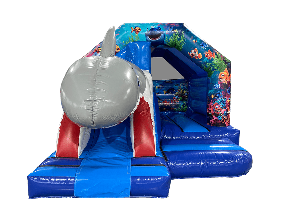 Combinazione Scivolo Frontale Squalo 3D 5x4m