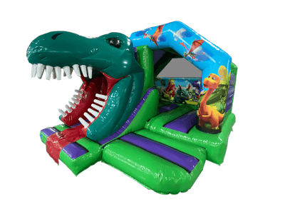 5x4m 3D Dinosaurus Glijbaan Combi