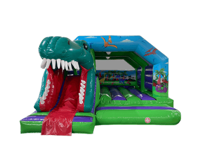 20x16ft 3D Single Head Dinosaur Front Slide Combi