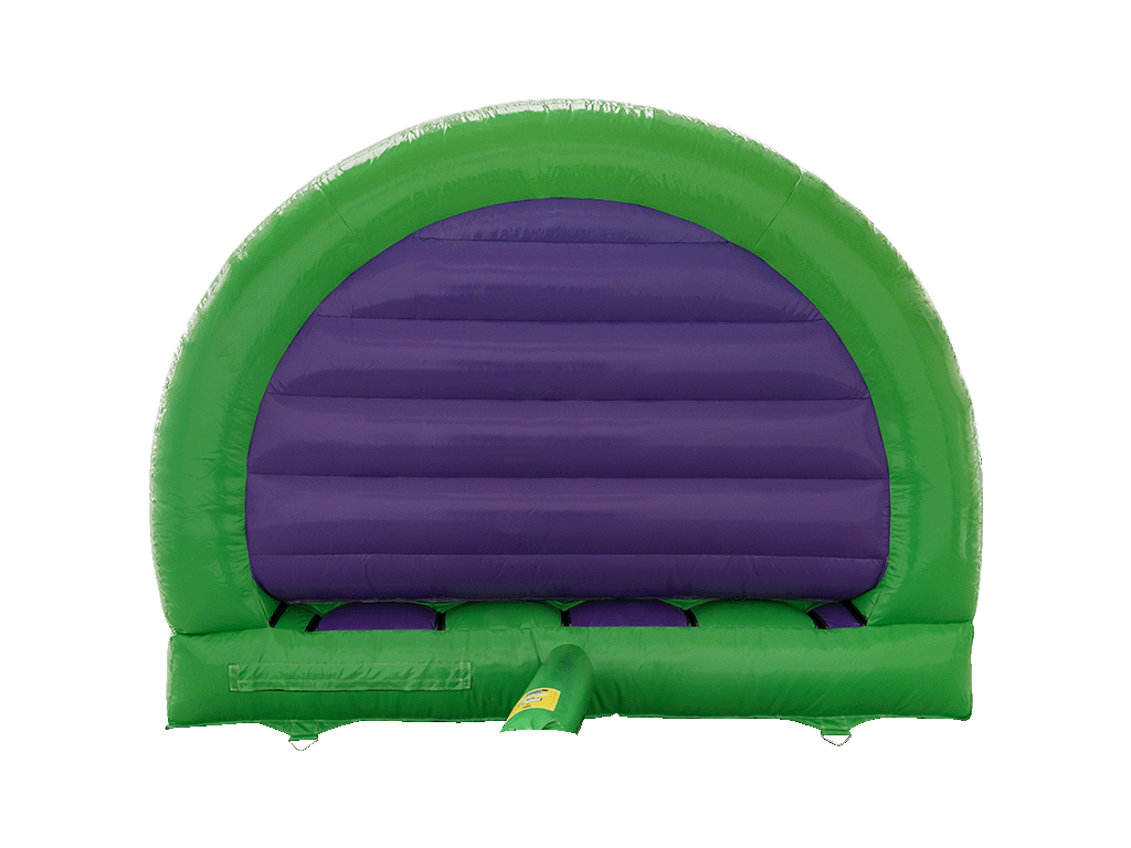 Castillo inflable curvado dinosaurio 3D de 3.7x3.7m