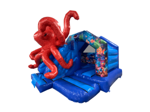 15x12ft 3D Octopus Front Slide Combi