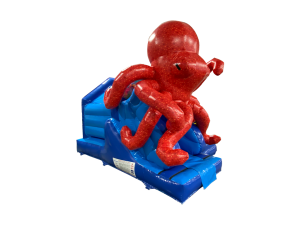 15x12ft 3D Octopus Front Slide Combi