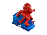 15x12ft 3D Octopus Front Slide Combi