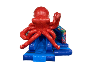 15x12ft 3D Octopus Front Slide Combi