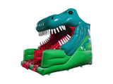 10ft Platform 3D Dinosaur Slide