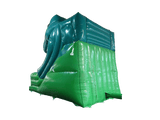 10ft Platform 3D Dinosaur Slide