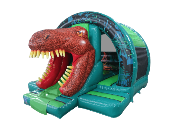16x14ft 3D Dinosaur Curved Front Slide Combi