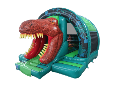 16x14ft 3D Dinosaur Curved Front Slide Combi