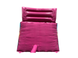 8ft Platform Princess Slide