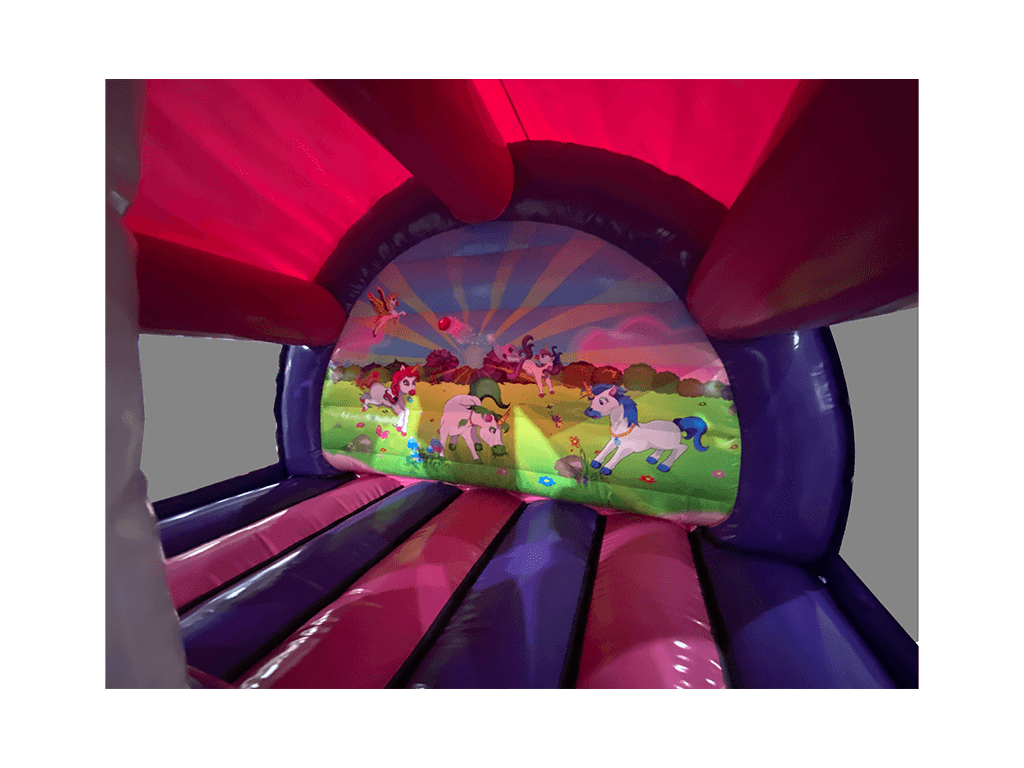 3.7x3.7m 3D Unicorn Curved Front Slide Combi