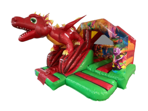 5x4m 3D Dragon Front Slide Combi