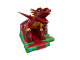 5x4m 3D Dragon Front Slide Combi