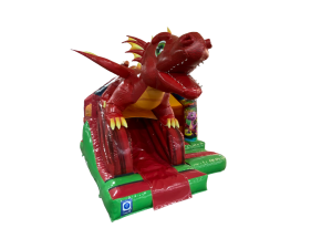 5x4m 3D Dragon Front Slide Combi