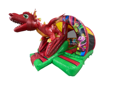16x14ft 3D Dragon Curved Front Slide Combi
