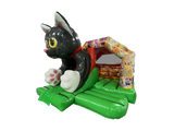 15x12ft 3D Glitter Kitty Front Combi