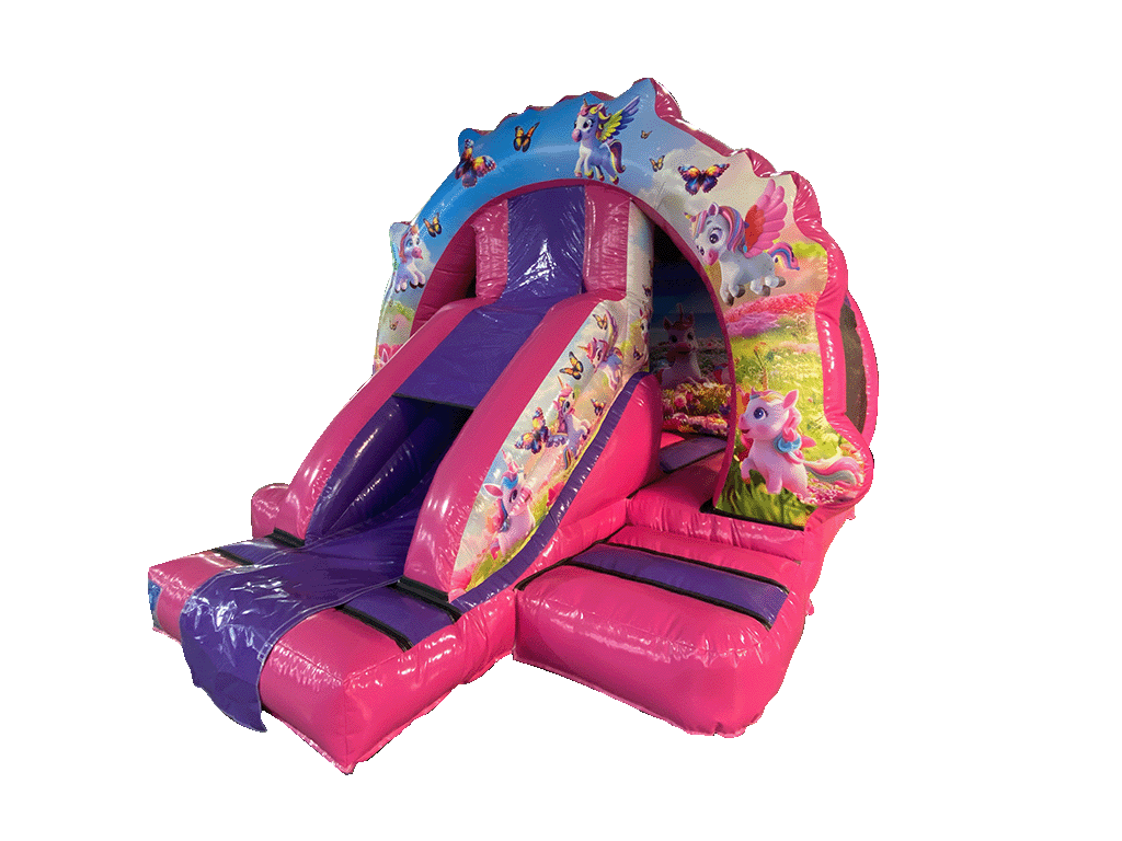 Combi toboggan avant licorne contourné 5x4m