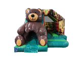 5x4m 3D Bear Front Slide Combi
