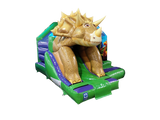 5x4m 3D Triceratops Voorkant Glijbaan Combi