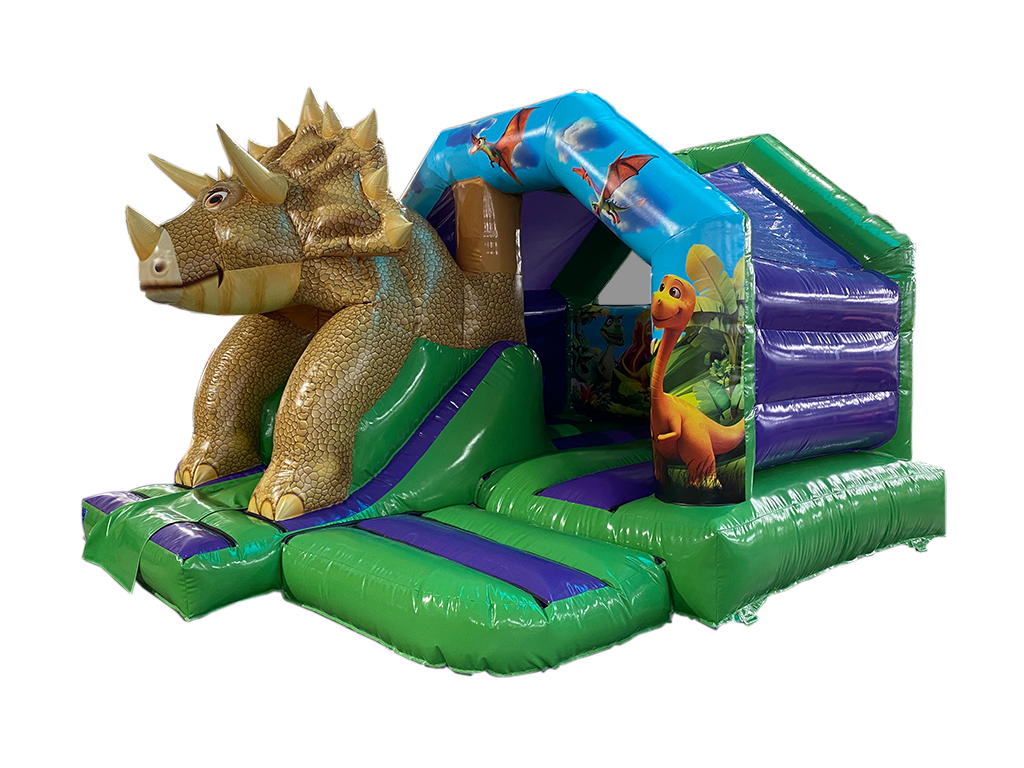 5x4m 3D Triceratops Voorkant Glijbaan Combi