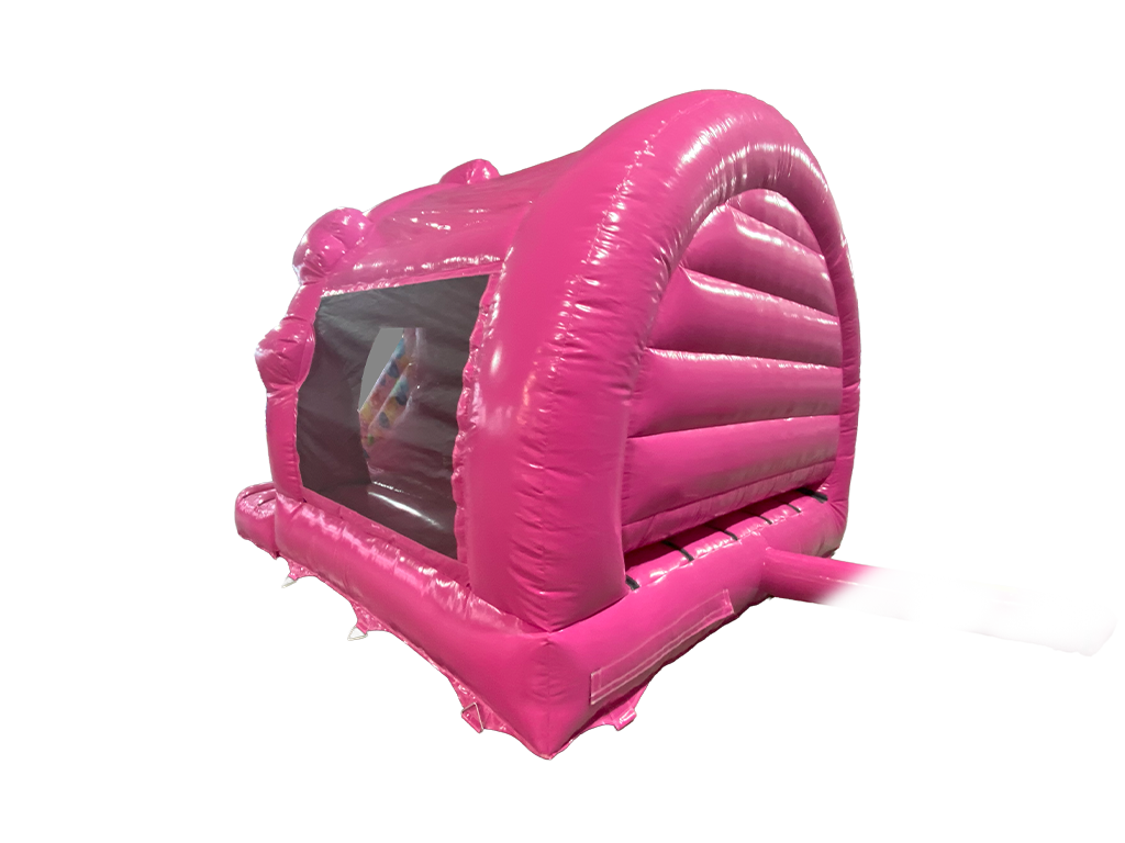 5 x 4 m Pinke Party-Contour-Front-Rutsche Kombi