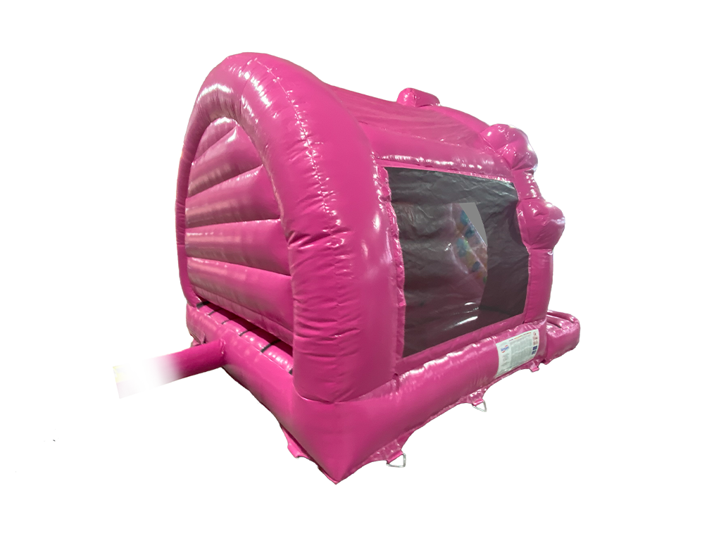 5 x 4 m Pinke Party-Contour-Front-Rutsche Kombi