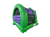 4,8x4,3m 3D Dinosaur Contour Gebogen Voorzijde Glijbaan Combi