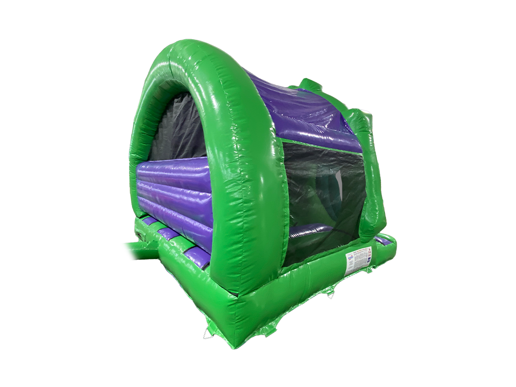 4,8x4,3m 3D Dinosaur Contour Gebogen Voorzijde Glijbaan Combi