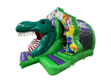4,8x4,3m 3D Dinosaur Contour Gebogen Voorzijde Glijbaan Combi