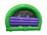 4,8x4,3m 3D Dinosaur Contour Gebogen Voorzijde Glijbaan Combi