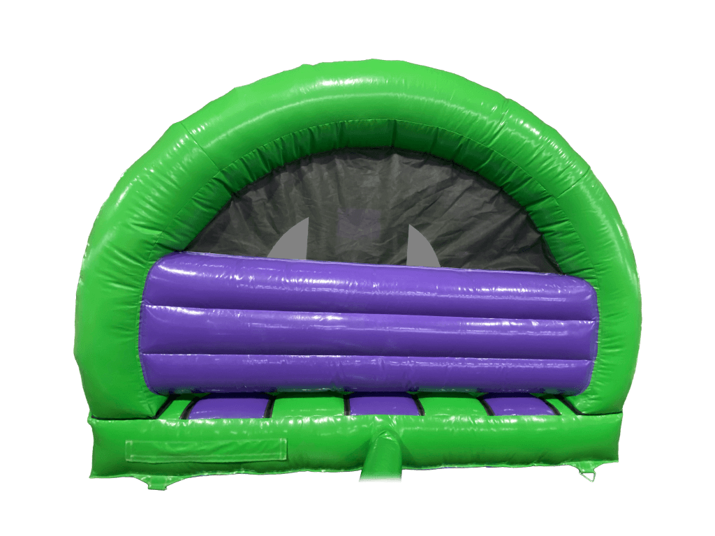 4,8x4,3m 3D Dinosaur Contour Gebogen Voorzijde Glijbaan Combi