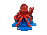Combinado tobogán frontal curvo 3D pulpo 5x4.3m