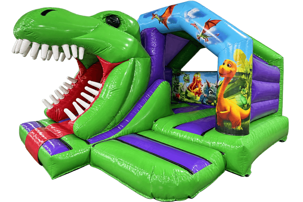 Combinazione Scivolo Frontale 3D Dinosauro 5x4m