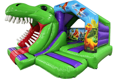 15x12ft 3D Dinosaur Front Slide Combi