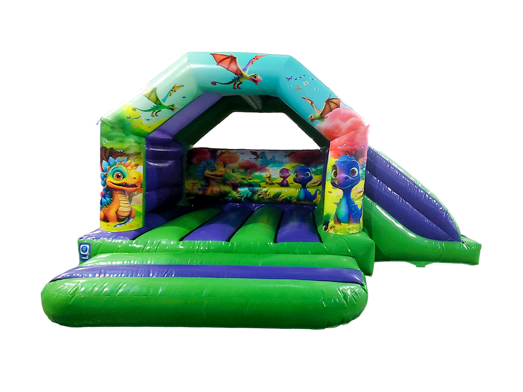 6m x 4m Dinosaur Side Slide Combi