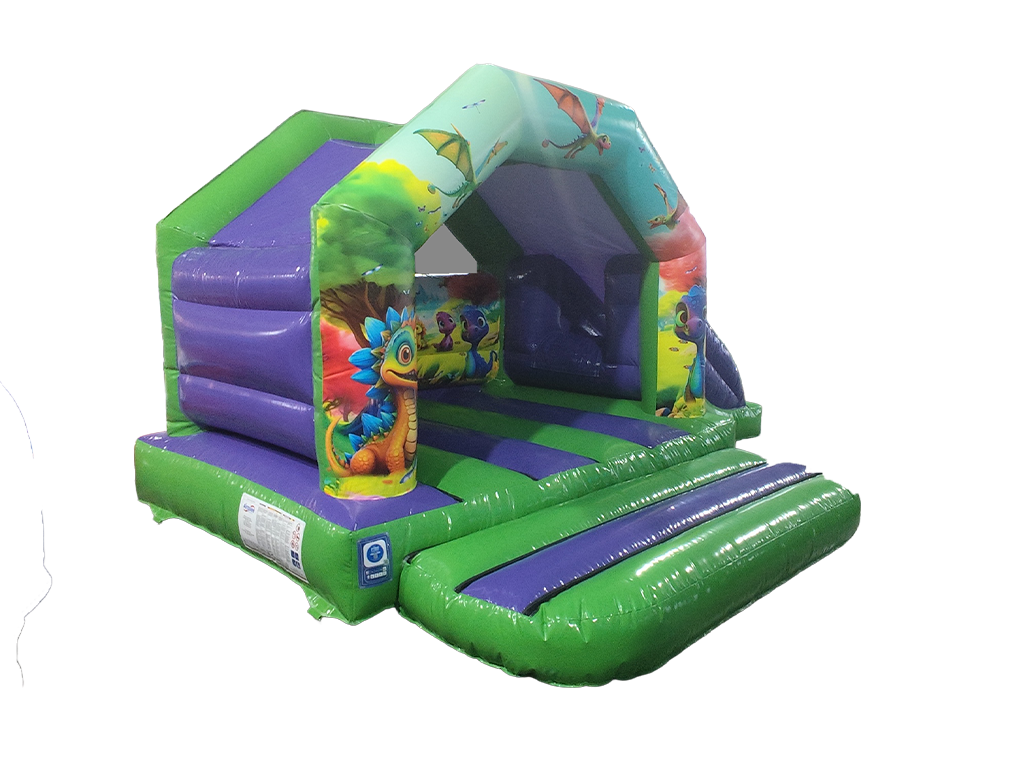 6m x 4m Dinosaur Side Slide Combi